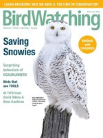 BirdWatching